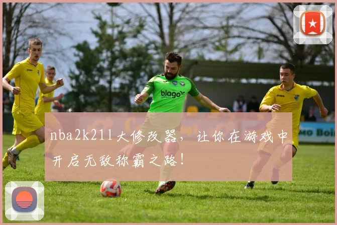 nba2k21l大修改器，让你在游戏中开启无敌称霸之路！