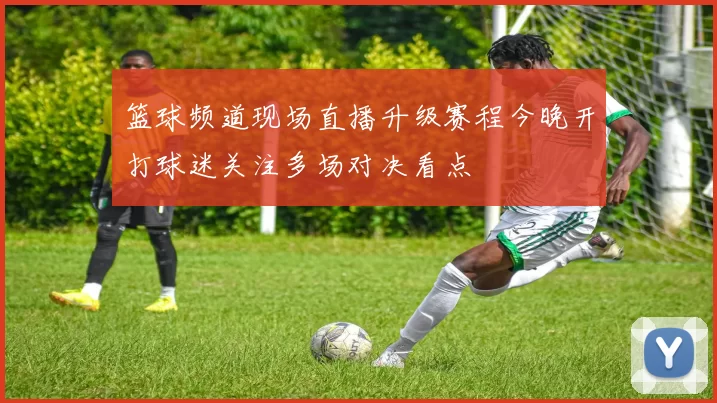 篮球频道现场直播升级赛程今晚开打球迷关注多场对决看点