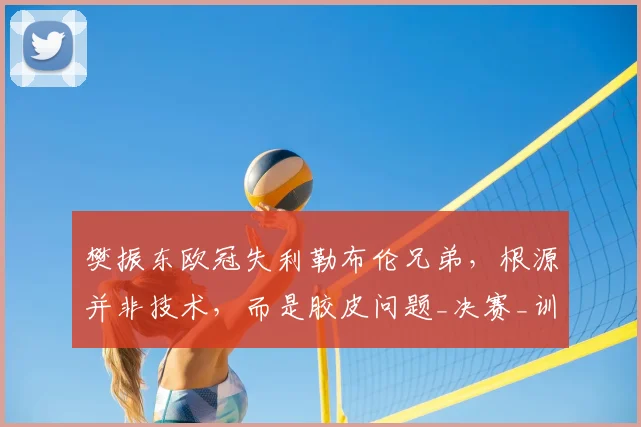 樊振东欧冠失利勒布伦兄弟，根源并非技术，而是胶皮问题_决赛_训练_德甲