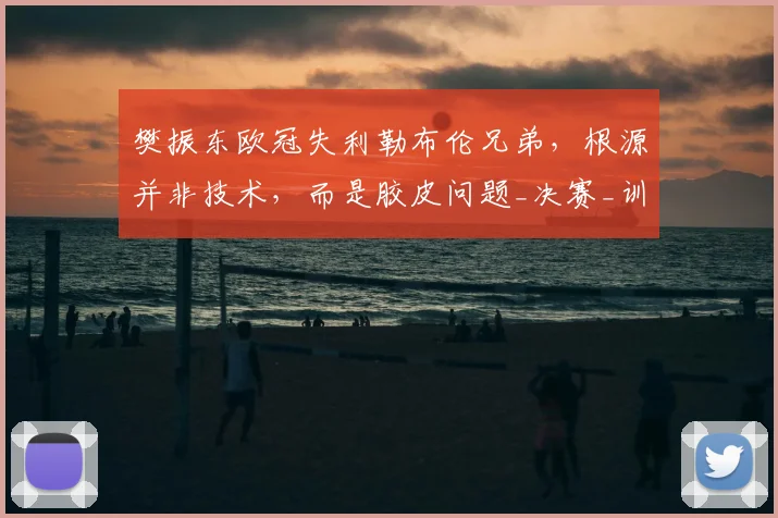 樊振东欧冠失利勒布伦兄弟，根源并非技术，而是胶皮问题_决赛_训练_德甲